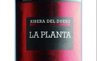 La Planta Roble 2016