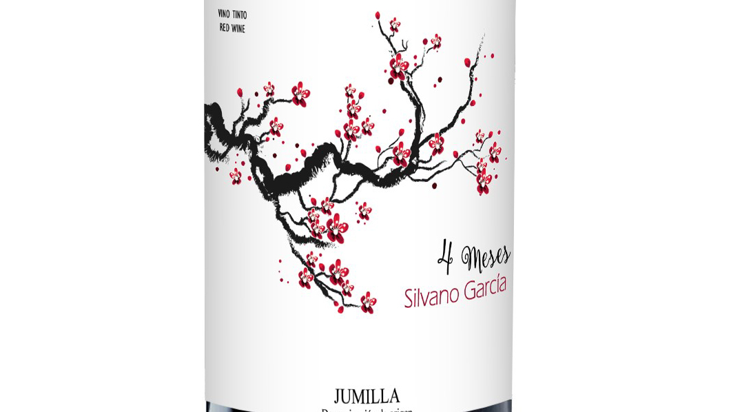Silvano García 4 meses 2015