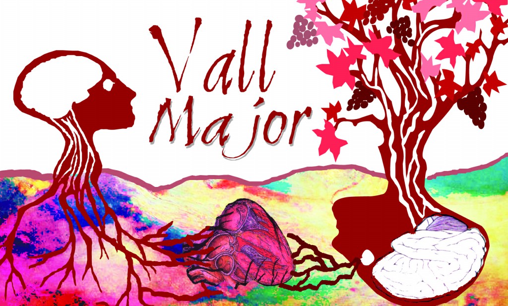 Vall Major Tinto 2017