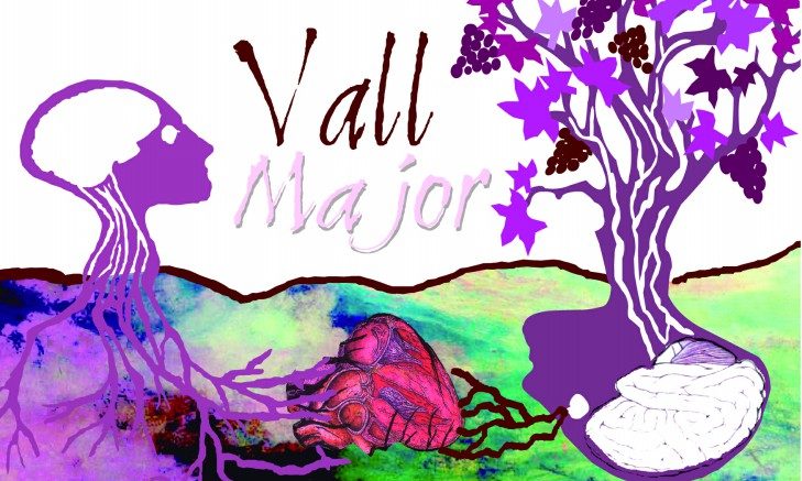 Vall Major Rosado 2017