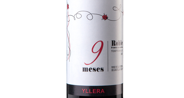 Yllera 9 Meses 2015