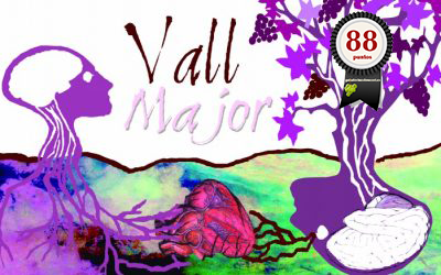 Vall Major Rosado 2017